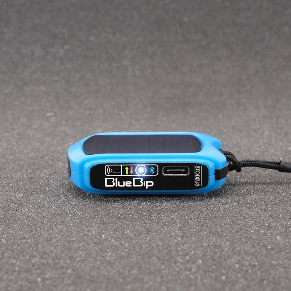 BlueBip