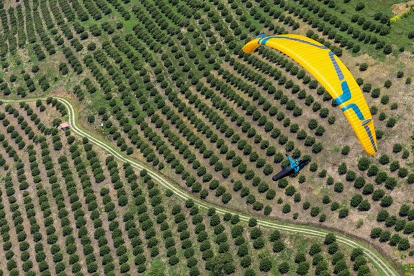 Ozone Photon M/S Orange Ex Demo