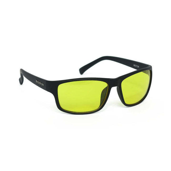 Velodrom Bifocal Glasses Hector with Hard Case and Cloth Sleeve
