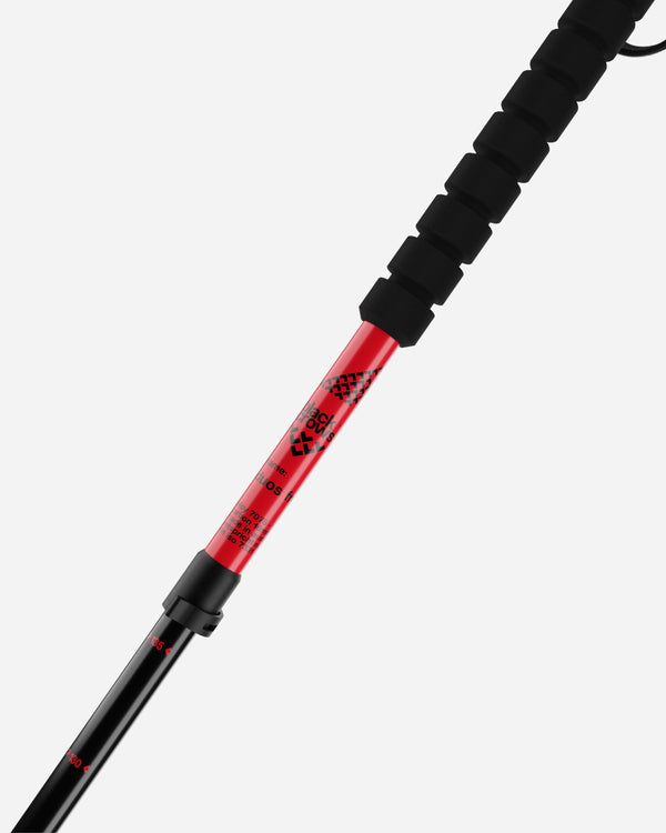 Black Crows Duos Freebird Ski Poles