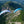 Other Ozone Wings