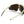 Julbo Edge Cover Spectron 4