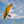 Other Ozone Wings