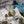 Ozone Delta 5