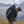 Supair Delight 4 Standard