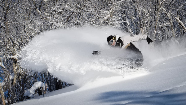 Descender B.C Splitboard