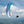 Advance Lightness 4