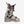Salomon S/Pro Alpha C BOA 110 Ski Boots