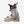 Salomon S/Pro Alpha C BOA 110 Ski Boots