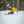 Stranda SuperGlider