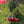 AirDesign The Sock SL