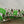 Skeats Skin Crampons Original
