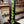 REPTILE | U-Foil