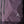 Raide Research Women's TourTech Shell Jacket