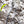 Ozone Zeolite 2 GT