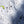 Ozone Zeolite 2 GT