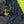 Ozone F*Race 2
