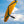 Ozone Photon M/S Orange Ex Demo