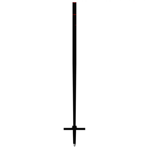 Black Crows Duos Freebird Ski Poles
