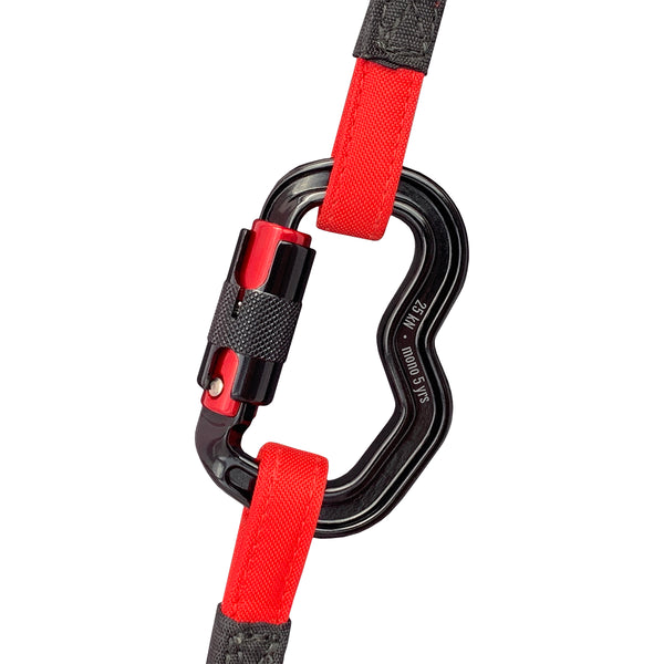 Charly Unilock carabiners (pair)