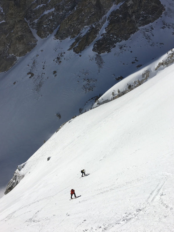 Skeats Skin Crampons Glide Fins