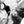 K2 Reckoner 102 Mens Skis