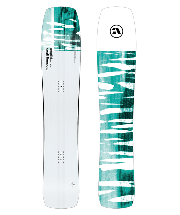 Amplid Morning Glory