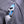 Neo Classic 110l Rucksack