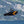 Niviuk Arrow P Race