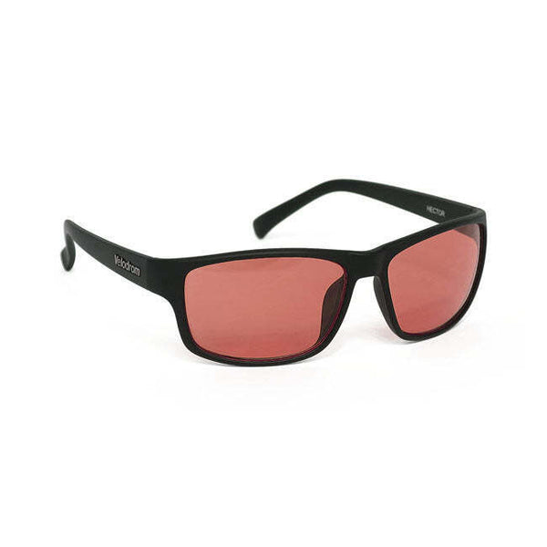 Velodrom Bifocal Glasses Hector with Hard Case and Cloth Sleeve