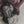 Ortovox Venet Tour 28S